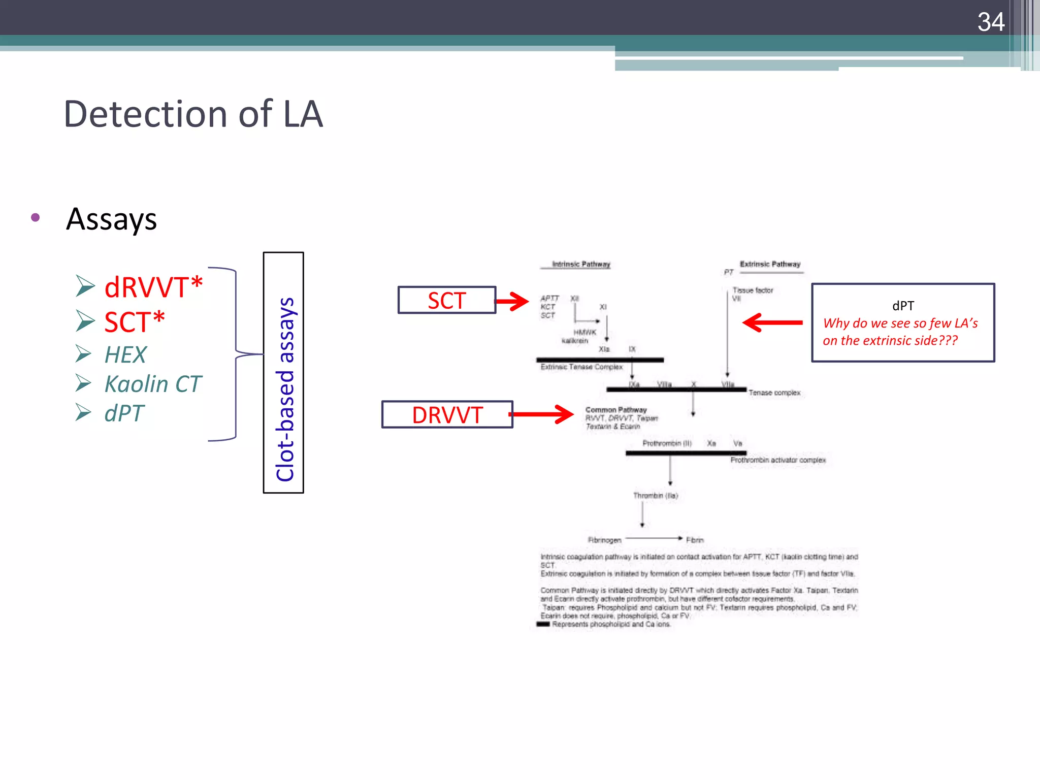 34

Detection of LA

 dRVVT*
 SCT*
 HEX
 Kaolin CT
 dPT

Clot-based assays

• Assays
SCT

DRVVT

dPT
Why do we see so few LA’s
on the extrinsic side???

 
