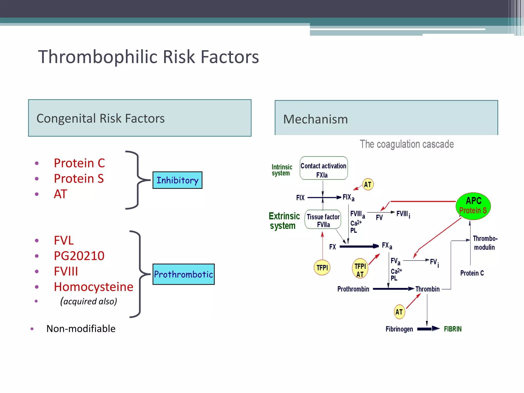 5

Thrombophilic Risk Factors
Congenital Risk Factors
•
•
•

Protein C
Protein S
AT

•
•
•
•

FVL
PG20210
FVIII
Homocysteine

•
•

(acquired also)
Non-modifiable

Inhibitory

Prothrombotic

Mechanism

 