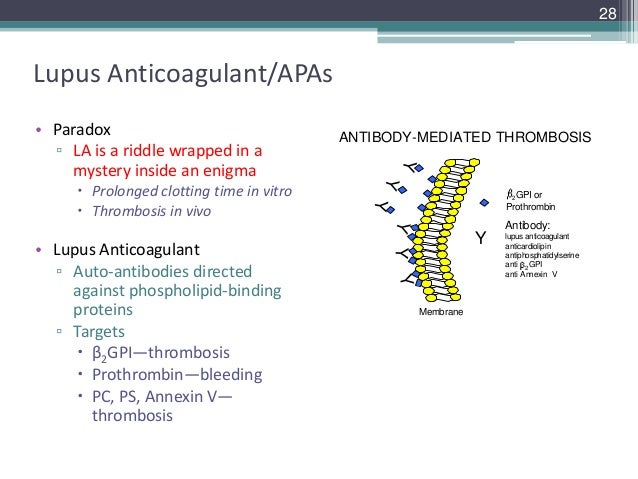 Lupus anticoagulant