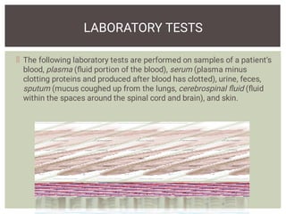 LABORATORY TESTS PART I PDF 2021-1 DESARROLLADO.pdf