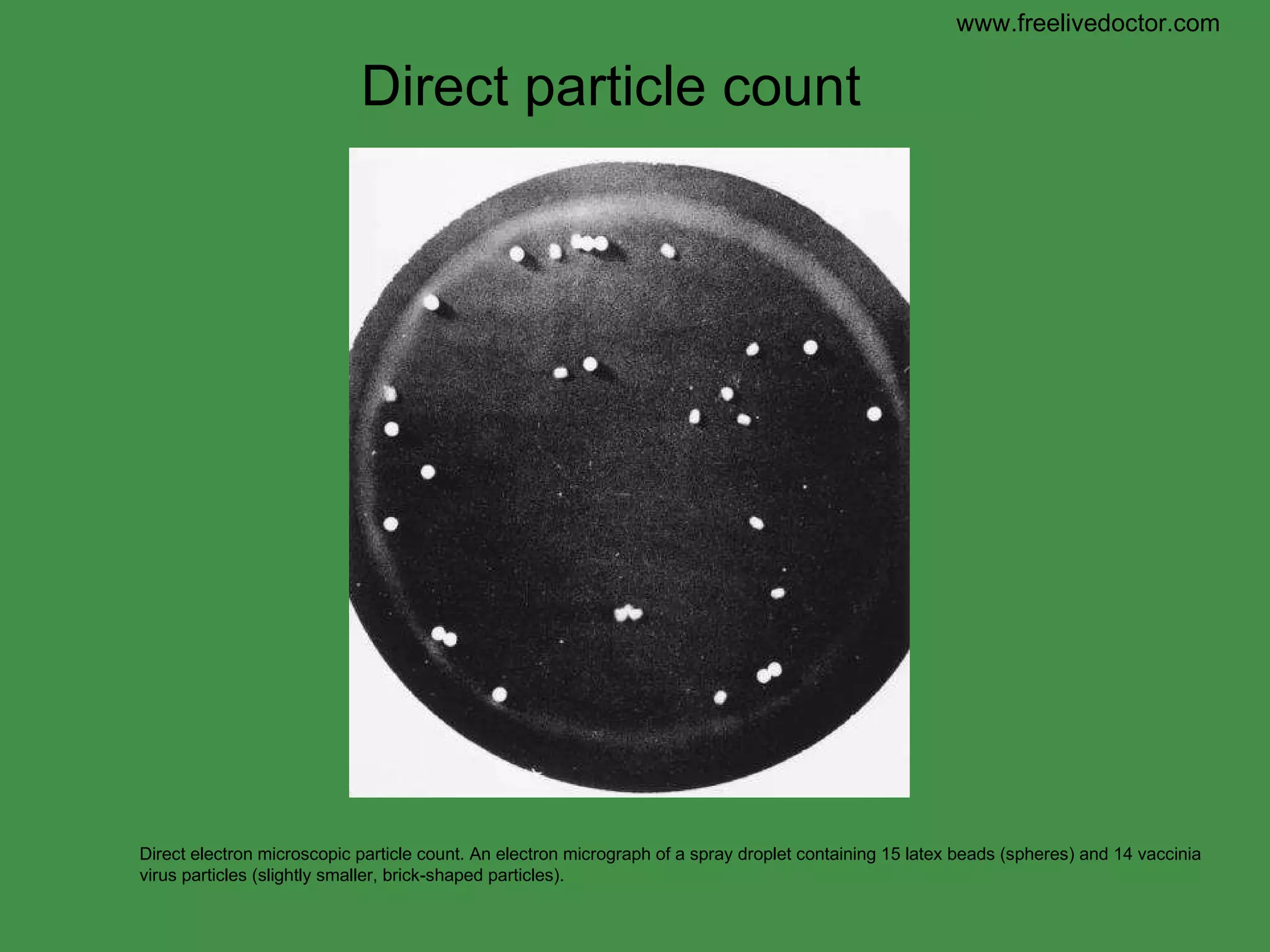 Direct electron microscopic particle count. An electron micrograph of a spray droplet containing 15 latex beads (spheres) and 14 vaccinia virus particles (slightly smaller, brick-shaped particles).  Direct particle count www.freelivedoctor.com 