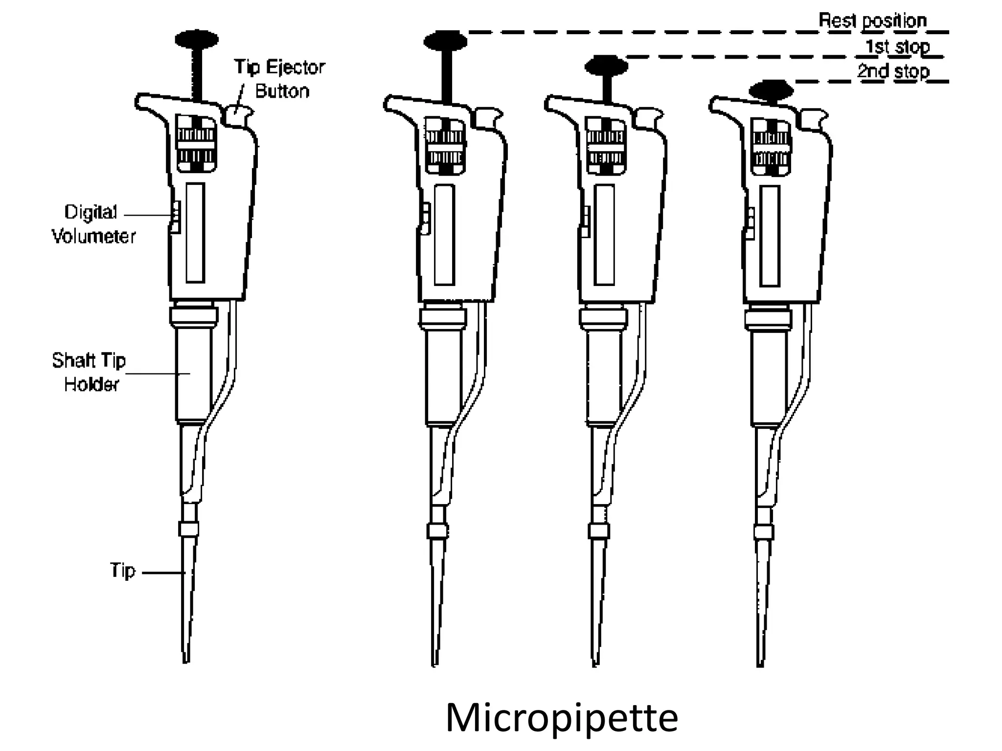 Micropipette
 