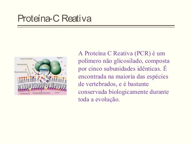 Exame pcr proteina c reativa