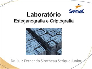 1
Dr. Luiz Fernando Sirotheau Serique Junior
Laboratório
Esteganografia e Criptografia
 