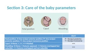 Labor Care Quide By WHO 2025-08-07 .pptx