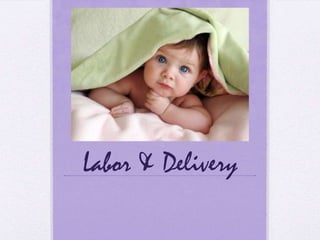 Labor & Delivery
 