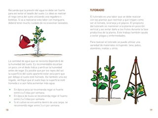 18 19
Recuerda que la presión del agua no debe ser fuerte
para así evitar el lavado del suelo. Lo ideal es realizar
el riego cerca del suelo utilizando una regadera o
botellas. Si va a realizarse esta labor con manguera,
deberá tener mucho cuidado de no ocasionar lixiviados.
La cantidad de agua que se necesita dependerá de
la humedad del suelo. Es recomendable escarbar
un poco con el dedo índice y verificar la humedad
antes de regar. Es posible que por los rayos del sol
la superficie del suelo aparente estar seca pero que
por debajo el suelo esté húmedo. Así también una vez
regado, verifique que el suelo bajo la superficie esté
húmeda o si aún falta aumentar más agua.
•
• En época seca se recomienda regar el huerto
entre 4 a 5 días por semana.
•
• En época de lluvia se recomienda regar el huerto
entre 2 a 3 días por semana.
•
• Si el cultivo se encuentra dentro de una carpa, se
recomienda regar entre 3 a 4 por semana.
Tutorado
El tutorado es una labor que se debe realizar
con las plantas que rastrean y que trepan como
ser el tomate, la arveja y el pepino. El propósito
del tutorado es mantener a la planta en posición
vertical y así evitar daño a los frutos durante la fase
productiva de la planta. Este trabajo también ayuda
a evitar plagas y enfermedades.
Para realizar el tutorado se puede utilizar una
variedad de materiales incluyendo: lana, palos,
alambres, mallas u otros.
 