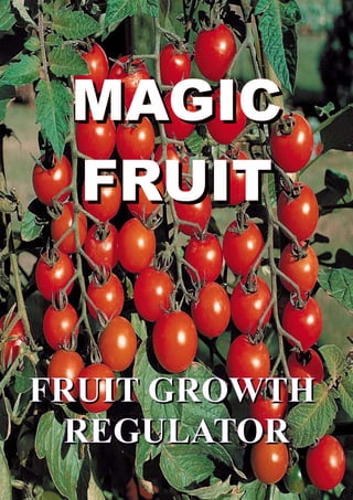 MAGIC
 FRUIT


FRUIT GROWTH
  REGULATOR
 