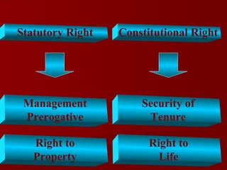 Statutory Right   Constitutional Right




 Management           Security of
 Prerogative           Tenure

   Right to             Right to
   Property               Life
 