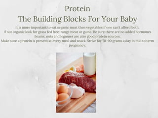 Nutrition for Pregnancy