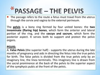 *
 The passage refers to the route a fetus must travel from the uterus
through the cervix and vagina to the external perineum.
The pelvis is a bony ring formed by four united bones: the two
innominate (flaring hip) bones, which form the anterior and lateral
portion of the ring, and the coccyx and sacrum, which form the
posterior aspect. It serves both to support and protect the pelvic
organs.
PELVIS:
A. False Pelvis (the superior half) - supports the uterus during the late
months of pregnancy and aids in directing the fetus into the true pelvis
for birth. The false pelvis is divided from the true pelvis only by an
imaginary line, the linea terminalis. This imaginary line is drawn from
the sacral prominence at the back of the pelvis to the superior aspect
of the symphysis pubis at the front of the pelvis.
 