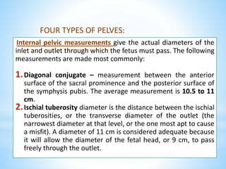 FOUR TYPES OF PELVES:
Internal pelvic measurements give the actual diameters of the
inlet and outlet through which the fetus must pass. The following
measurements are made most commonly:
1.Diagonal conjugate – measurement between the anterior
surface of the sacral prominence and the posterior surface of
the symphysis pubis. The average measurement is 10.5 to 11
cm.
2.Ischial tuberosity diameter is the distance between the ischial
tuberosities, or the transverse diameter of the outlet (the
narrowest diameter at that level, or the one most apt to cause
a misfit). A diameter of 11 cm is considered adequate because
it will allow the diameter of the fetal head, or 9 cm, to pass
freely through the outlet.
 