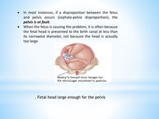  In most instances, if a disproportion between the fetus
and pelvis occurs (cephalo-pelvic disproportion), the
pelvis is at fault.
 When the fetus is causing the problem, it is often because
the fetal head is presented to the birth canal at less than
its narrowest diameter, not because the head is actually
too large
. Fetal head large enough for the pelvis
 