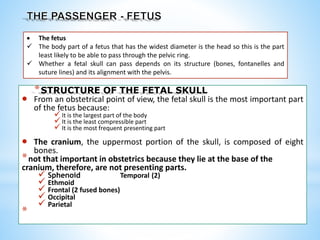 *STRUCTURE OF THE FETAL SKULL
 From an obstetrical point of view, the fetal skull is the most important part
of the fetus because:
It is the largest part of the body
It is the least compressible part
It is the most frequent presenting part
 The cranium, the uppermost portion of the skull, is composed of eight
bones.
*not that important in obstetrics because they lie at the base of the
cranium, therefore, are not presenting parts.
 Sphenoid Temporal (2)
 Ethmoid
 Frontal (2 fused bones)
 Occipital
 Parietal
*
 The fetus
 The body part of a fetus that has the widest diameter is the head so this is the part
least likely to be able to pass through the pelvic ring.
 Whether a fetal skull can pass depends on its structure (bones, fontanelles and
suture lines) and its alignment with the pelvis.
 