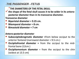 *THE DIAMETERS OF THE FETAL SKULL
the shape of the fetal skull causes it to be wider in its antero-
posterior diameter than in its transverse diameter.
Transverse diameter
 Biparietal diameter = 9.25 cm.
 Bitemporal diameter = 8 cm.
 Bimastoid diameter = 7 cm
Antero-posterior diameter
 Suboccipitobregmatic diameter =from below occiput to the
anterior fontanel (narrowest diameter = 9.5 cm.)
 Occipitofrontal diameter = from the occiput to the mid-
frontal bone (12cm.)
 Occipitomentum diameter = from the occiput to the chin
(widest at 13.5 cm)
 