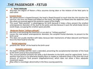 A. Fetal Attitude
 describes the degree of flexion a fetus assumes during labor or the relation of the fetal parts to
each other
Complete flexion
 the spinal column is bowed forward, the head is flexed forward so much that the chin touches the
sternum, the arms are flexed and folded on the chest, the thighs are flexed onto the abdomen, and
the calves are pressed against the posterior aspect of the thighs
 This usual “fetal position” is advantageous for birth because it helps a fetus present the smallest
anteroposterior diameter of the skull to the pelvis and also because it puts the whole body into an
ovoid shape, occupying the smallest space possible.
Moderate flexion “military attitude”
 the chin is not touching the chest but is in an alert or “military position”
 causes the next-widest anteroposterior diameter, the occipital frontal diameter, to present to the
birth canal
 This does not usually interfere with labor, because later mechanisms of labor (descent and flexion)
force the fetal head to fully flex
Partial extension
 presents the “brow” of the head to the birth canal
Complete extension
 the back is arched, and the neck is extended, presenting the occipitomental diameter of the head
to the birth canal (a face presentation)
 This unusual position presents too wide a skull diameter to the birth canal for vaginal birth. Such a
position may occur in an otherwise healthy fetus or maybe an indication there is less than the usual
amount of amniotic fluid present (oligohydramnios), which does not allow a fetus adequate
movement space.
 May reflect a neurologic abnormality in the fetus causing spasticity.
*
 
