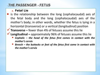 A. Fetal Lie
 is the relationship between the long (cephalocaudal) axis of
the fetal body and the long (cephalocaudal) axis of the
mother’s body; in other words, whether the fetus is lying in a
horizontal (transverse) or a vertical (longitudinal) position
Transverse – fewer than 4% of fetuses assume this lie
Longitudinal – approximately 96% of fetuses assume this lie
 Cephalic – the head of the fetus first comes in contact with the
mother’s cervix
 Breech – the buttocks or feet of the fetus first come in contact with
the mother’s cervix
 