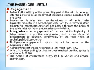 A.Engagement
 Refers to the settling of the presenting part of the fetus far enough
into the pelvis to be at the level of the ischial spines; a midpoint of
the pelvis
 Descent to this point means that the widest part of the fetus (the
biparietal diameter in a cephalic presentation; the intertrochanteric
diameter in breech presentation) has passed through the pelvis or
the pelvic inlet has been proven adequate for birth.
 Primigravida – non engagement of the head at the beginning of
labor indicates a possible complication, such as an abnormal
presentation or position, abnormality of the fetal head, or
cephalopelvic disproportion.
 Multipara – engagement may or may not be present at the
beginning of labor.
 A presenting part that is not engaged is termed FLOATING.
 One that is descending but has not yet reached the iliac spines is
said to be DIPPING.
 The degree of engagement is assessed by vaginal and cervical
examination.
 