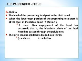 A.Station
 The level of the presenting fetal part in the birth canal
 When the lowermost portion of the presenting fetal part is
at the level of the ischial spine  Station 0
* most often engagement of the head has
occurred; that is, the biparietal plane of the fetal
head has passed through the pelvic inlet
 The birth canal is arbitrarily divided into thirds:
*(-) = above (+) = below
 