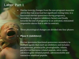 Labor: Part 1Uterine tonicity changes from the non-pregnant muscular uterus that has a normal but significant resting tone, to a functional uterine quiescence during pregnancy, secondary to negative inhibitory factors and finally towards the end of pregnancy to an activated, stimulated responsive uterus that is able to contract.These physiological changes are divided into four phases:Phase 0: (inhibitory)      Uterine maintains functional quiescence secondary to multiple agents that exert an inhibitory and includes: progesterone, prostacyclin, prostaglandin, relaxin, parathyroid hormone-related peptide, nitric oxide, calcitonin gene-related peptide, adrenomedullin and vasoactive intestinal peptide.