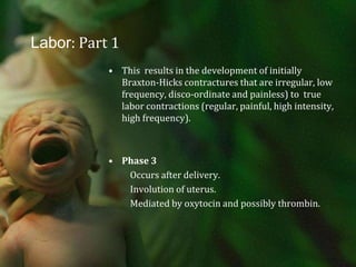 Labor: Part 1This  results in the development of initially  Braxton-Hicks contractures that are irregular, low frequency, disco-ordinate and painless) to  true labor contractions (regular, painful, high intensity, high frequency).Phase 3          Occurs after delivery.          Involution of uterus.          Mediated by oxytocin and possibly thrombin.