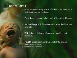 Labor: Part 1Once a contraction pattern  of Labor is established, it is divided into three stages.First Stage: onset of labor until full cervical dilation.Second Stage: full dilation of cervix until delivery of neonate.Third Stage: delivery of neonate to delivery of placenta.Fourth Stage: the hour immediately following delivery of placenta. (originally described by Friedman)