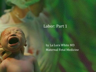         Labor: Part 1 by La Lura White MD Maternal Fetal Medicine 