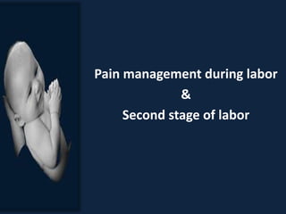 Pain management during labor
&
Second stage of labor
 