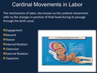 The mechanisms of labor, also known as the cardinal movements
refer to the changes in position of fetal head during its passage
through the birth canal.
Engagement
Descent
Flexion
Internal Rotation
Extension
External Rotation
Expulsion
Cardinal Movements in Labor
 