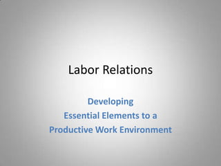 Labor Relations
Developing
Essential Elements to a
Productive Work Environment
 
