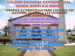 COLEGIO NACIONAL EXPERIMENTAL &quot;MARÍA ANGÉLICA IDROBO&quot; TERAPIAS ALTERNATIVAS PARA LOS ADULTOS  MAYORES, EN BASE A LAS UNIDADES  DEL MÓDULO Nº 1. Proyecto:  &quot;GOTITAS DE TERNURA&quot; Centro: Geriátrico &quot;La Esperanza&quot; Sábado Bloque: Nº 2 Dirección:  San Rafael. Calle Pelileo y Aurelio Naranjo. Estudiante:  Cristina Gabriela Gómez. Adulto Mayor:  Zoila pacífica Loaiza de Rosillo. Coordinadora Institucional:  Ms. Bertha López. Coordinadora de Brigada:  Dra. Carmen Rivadeneira Año Lectivo:  2007 - 2008/05/15 