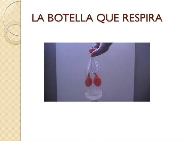 Explicacion De La Botella Que Respira