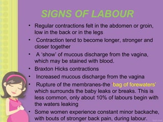 Labour | PPT