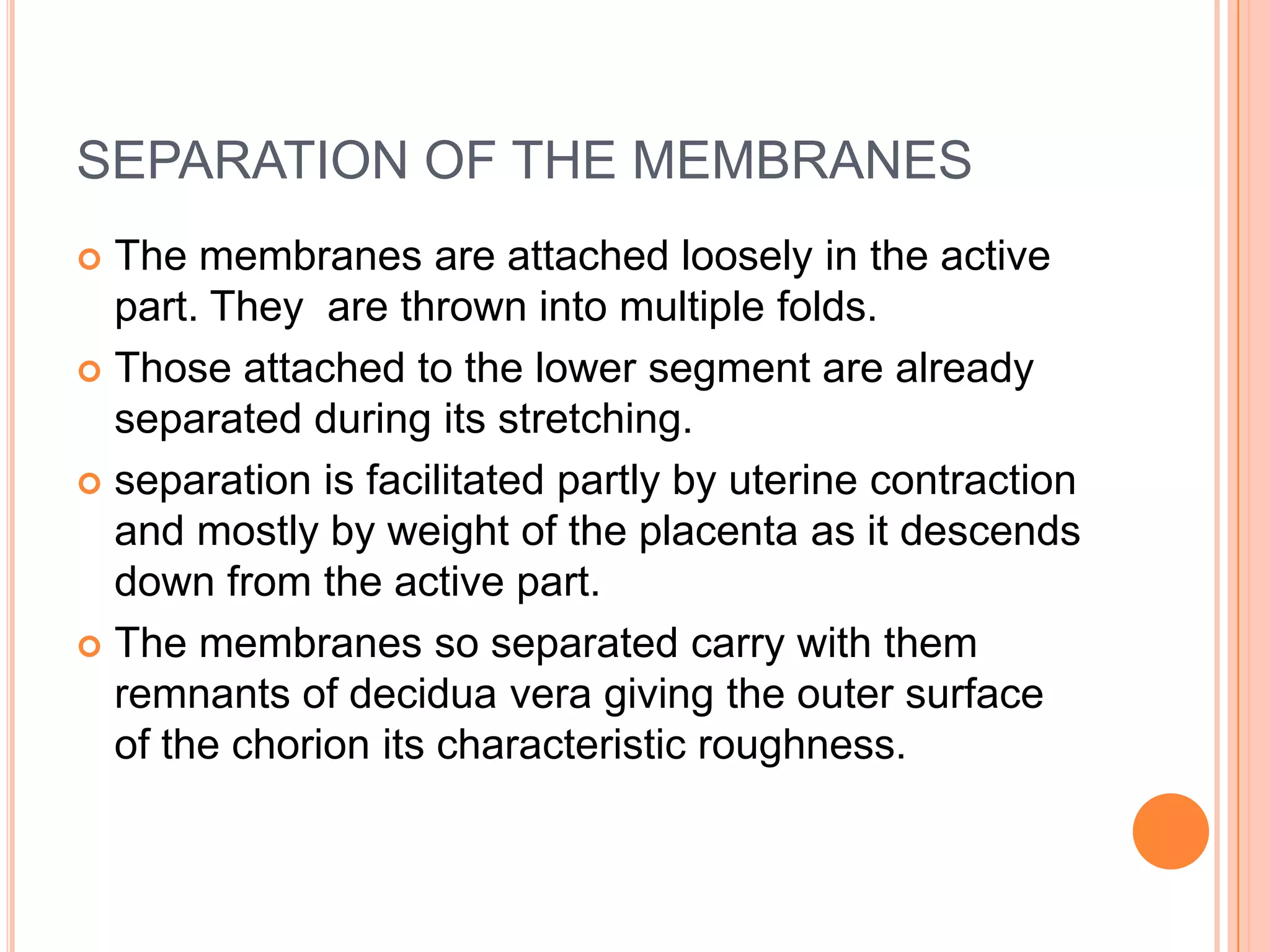 SEPARATION OF THE MEMBRANES
 The membranes are attached loosely in the active
part. They are thrown into multiple folds.
 Those attached to the lower segment are already
separated during its stretching.
 separation is facilitated partly by uterine contraction
and mostly by weight of the placenta as it descends
down from the active part.
 The membranes so separated carry with them
remnants of decidua vera giving the outer surface
of the chorion its characteristic roughness.
 