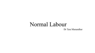 Normal Labour
Dr Tara Manandhar
 
