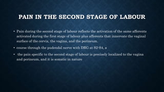 PAIN IN THE SECOND STAGE OF LABOUR 
• Pain during the second stage of labour reflects the activation of the same afferents 
activated during the first stage of labour plus afferents that innervate the vaginal 
surface of the cervix, the vagina, and the perineum. 
• course through the pudendal nerve with DRG at S2-S4, a 
• the pain specific to the second stage of labour is precisely localized to the vagina 
and perineum, and it is somatic in nature 
 