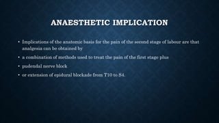 ANAESTHETIC IMPLICATION 
• Implications of the anatomic basis for the pain of the second stage of labour are that 
analgesia can be obtained by 
• a combination of methods used to treat the pain of the first stage plus 
• pudendal nerve block 
• or extension of epidural blockade from T10 to S4. 
 