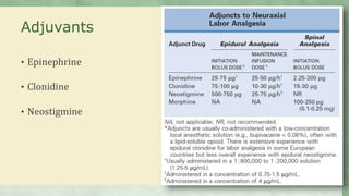 Adjuvants
• Epinephrine
• Clonidine
• Neostigmine
 
