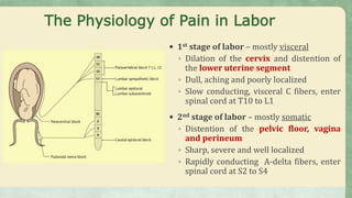 The Physiology of Pain in Labor
 1st stage of labor – mostly visceral
◦ Dilation of the cervix and distention of
the lower uterine segment
◦ Dull, aching and poorly localized
◦ Slow conducting, visceral C fibers, enter
spinal cord at T10 to L1
 2nd stage of labor – mostly somatic
◦ Distention of the pelvic floor, vagina
and perineum
◦ Sharp, severe and well localized
◦ Rapidly conducting A-delta fibers, enter
spinal cord at S2 to S4
 