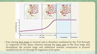 • Pain during first stage is visceral and is therefore mediated by the T10 through
L1 segments of the spine, whereas during the later part of the first stage and
throughout the second stage and additional somatic component is present
mediated by the S1 through S4 segments of he spine.
 