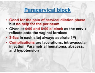 Paracervical Injection Labour Analgesia and pain free Labour anasthesia | PDF