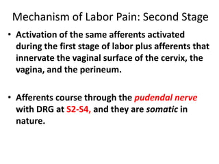 Mechanism of Labor Pain: Second Stage
• Activation of the same afferents activated
during the first stage of labor plus afferents that
innervate the vaginal surface of the cervix, the
vagina, and the perineum.
• Afferents course through the pudendal nerve
with DRG at S2-S4, and they are somatic in
nature.
 