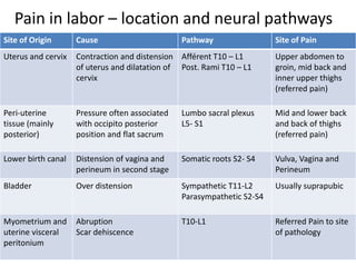 Pain in labor – location and neural pathways
Site of Origin Cause Pathway Site of Pain
Uterus and cervix Contraction and distension
of uterus and dilatation of
cervix
Afférent T10 – L1
Post. Rami T10 – L1
Upper abdomen to
groin, mid back and
inner upper thighs
(referred pain)
Peri-uterine
tissue (mainly
posterior)
Pressure often associated
with occipito posterior
position and flat sacrum
Lumbo sacral plexus
L5- S1
Mid and lower back
and back of thighs
(referred pain)
Lower birth canal Distension of vagina and
perineum in second stage
Somatic roots S2- S4 Vulva, Vagina and
Perineum
Bladder Over distension Sympathetic T11-L2
Parasympathetic S2-S4
Usually suprapubic
Myometrium and
uterine visceral
peritonium
Abruption
Scar dehiscence
T10-L1 Referred Pain to site
of pathology
 