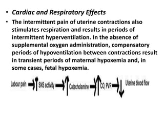 • Cardiac and Respiratory Effects
• The intermittent pain of uterine contractions also
stimulates respiration and results in periods of
intermittent hyperventilation. In the absence of
supplemental oxygen administration, compensatory
periods of hypoventilation between contractions result
in transient periods of maternal hypoxemia and, in
some cases, fetal hypoxemia.
 
