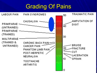Grading Of Pains

 