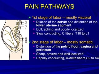 PAIN PATHWAYS
 1st stage of labor – mostly visceral
 Dilation of the cervix and distention of the
lower uterine segment
 Dull, aching and poorly localized
 Slow conducting, C fibers, T10 to L1

 2nd stage of labor – mostly somatic

 Distention of the pelvic floor, vagina and
perineum
 Sharp, severe and well localized
 Rapidly conducting, A-delta fibers,S2 to S4

 