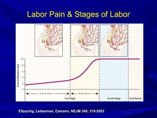 Labor Pain & Stages of Labor

Eltzschig, Leiberman, Camann, NEJM 348; 319:2003

 