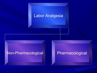 Labor Analgesia

Non-Pharmacological

Pharmacological

 