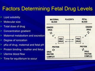 Factors Determining Fetal Drug Levels
 Lipid solubility
 Molecular size
 Total dose of drug
 Concentration gradient
 Maternal metabolism and excretion
 Degree of ionization
 pKa of drug, maternal and fetal pH
 Protein binding - mother and fetus
 Uterine blood flow
 Time for equilibrium to occur

 