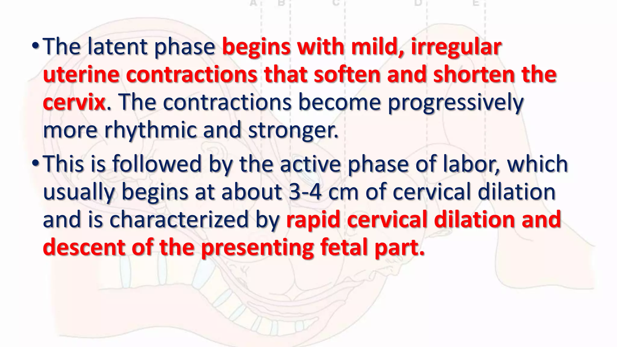 Labour and delivery | PPTX